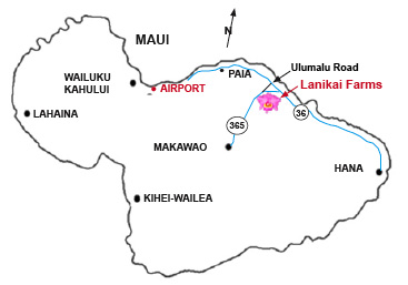 lanikai farms map