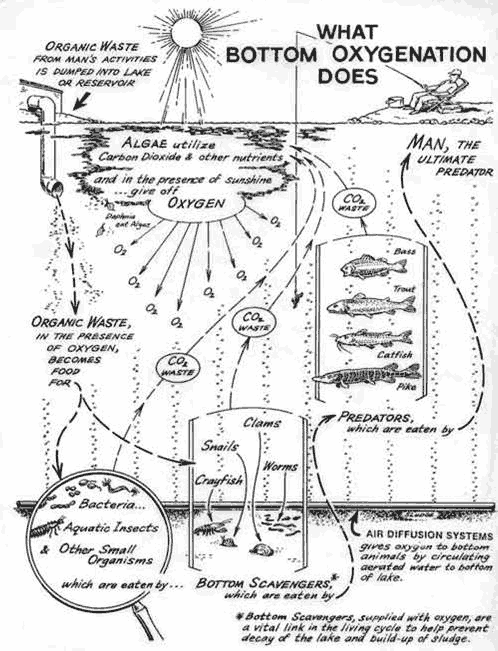 Oxygenation