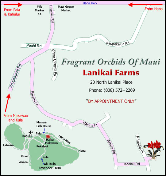 Map to Fragrant Orchids of Maui